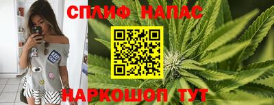индика Краснодар