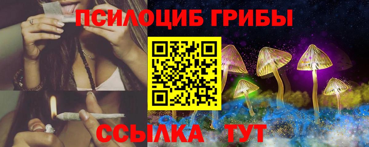 Донецк  Галлюциногенные грибы Psilocybine cubensis  Псилоцибиновые грибы прущие грибы  Вход с VPN 
